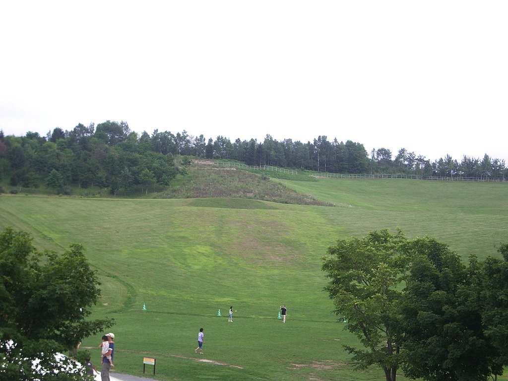 公園6