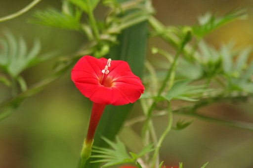 8月19日の写真
