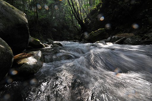 渓流