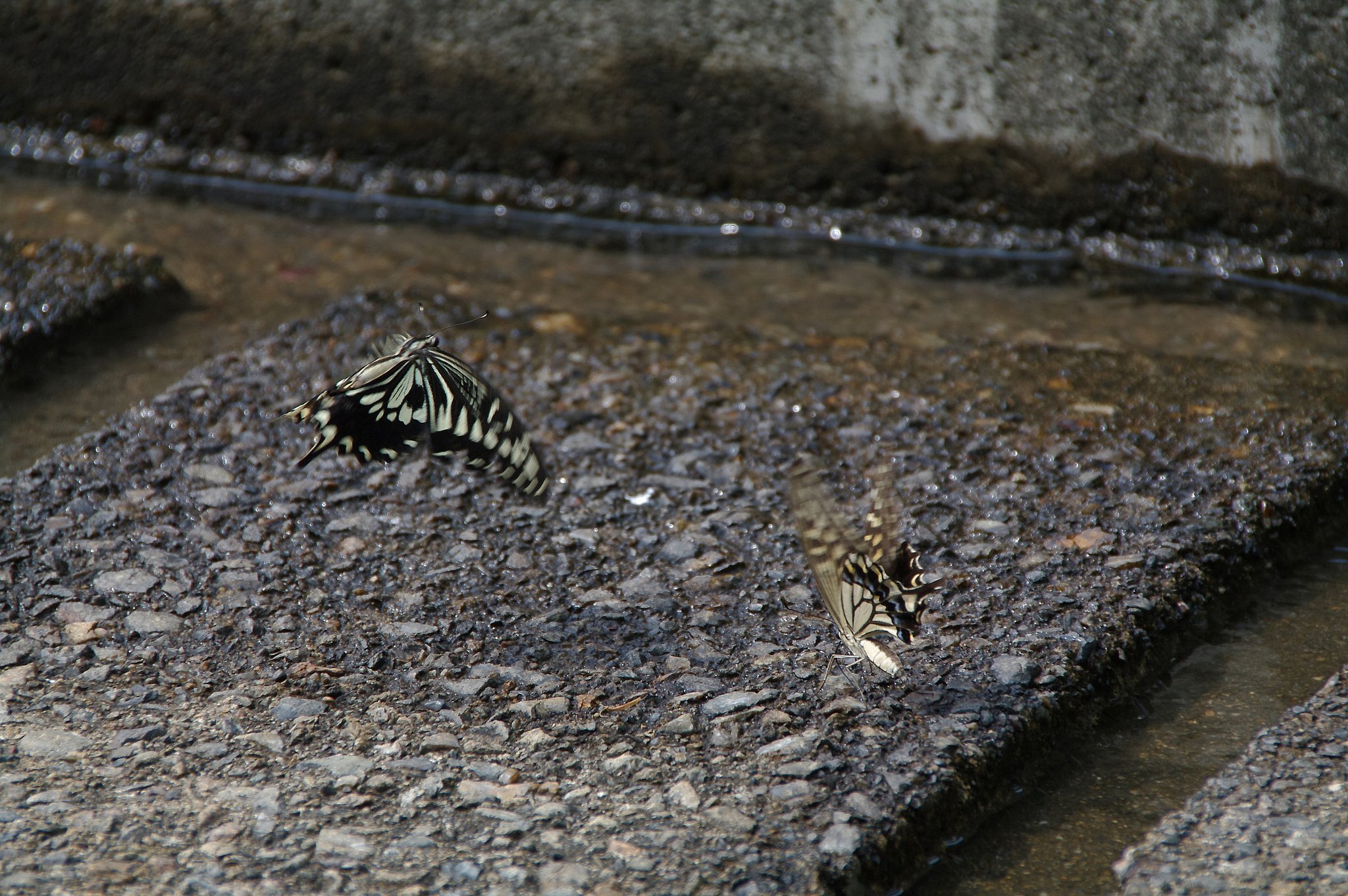 暑くて・・・２