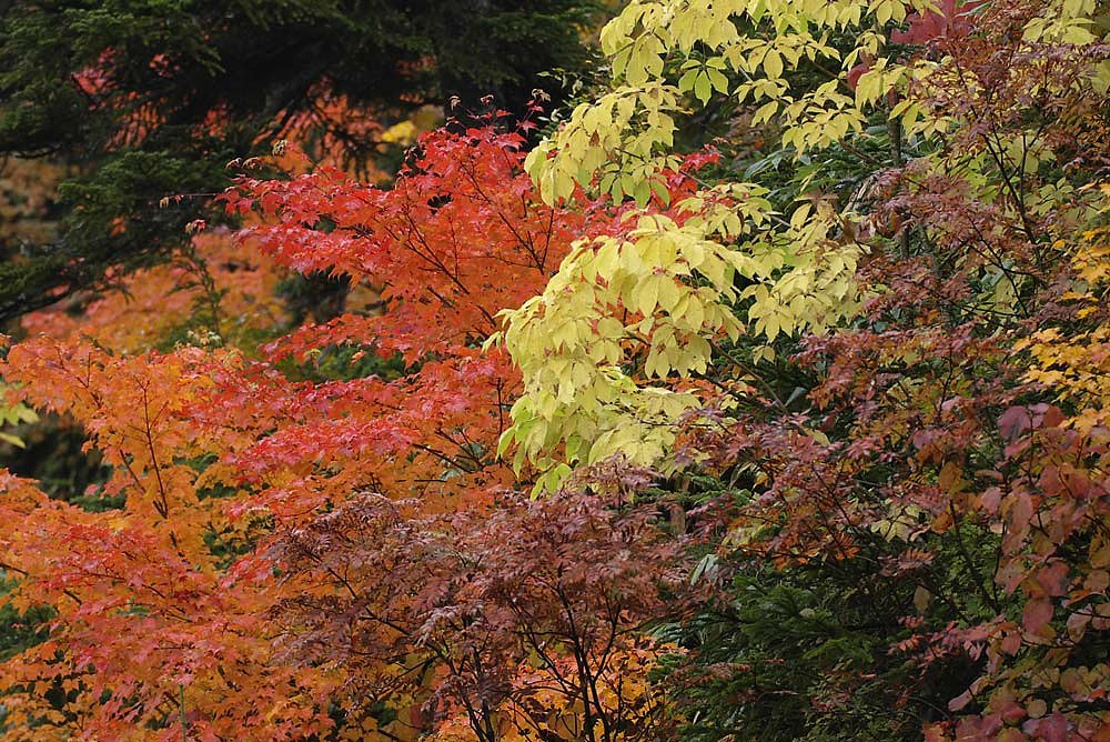 志賀高原その２