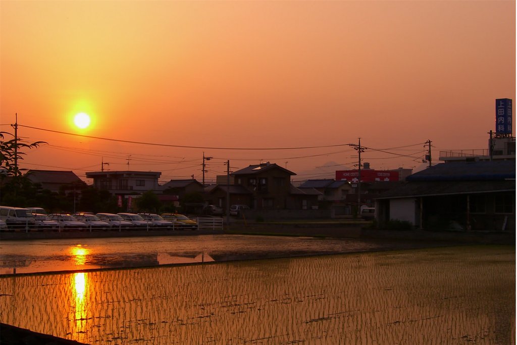【燃】夕日