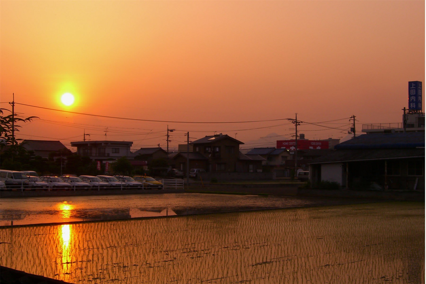 【燃】夕日