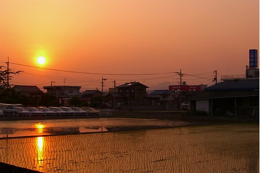 【燃】夕日