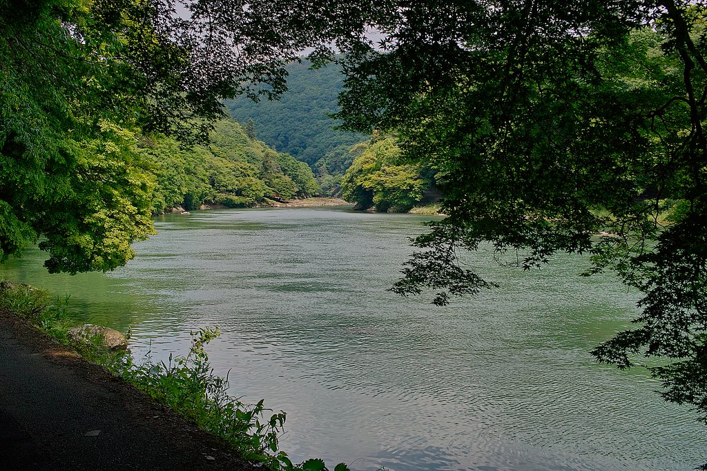 嵐山の風景