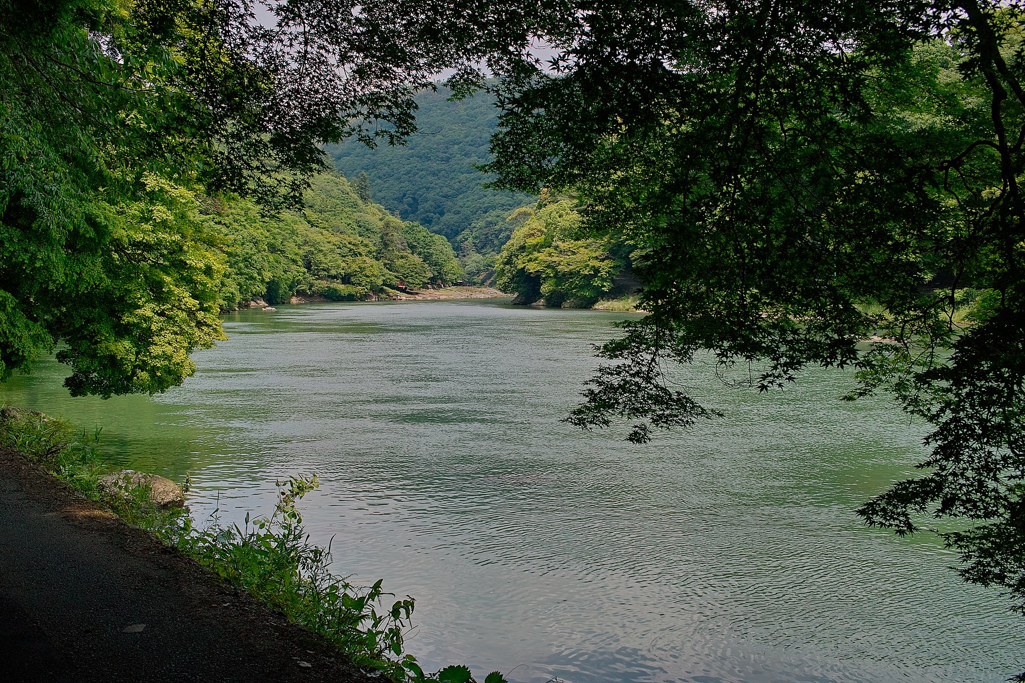 嵐山の風景
