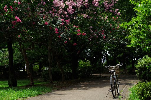 真夏の日差し