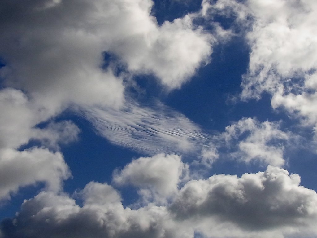 秋の雲？