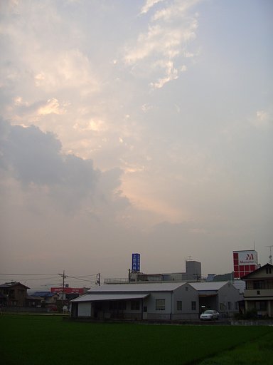 頼りない