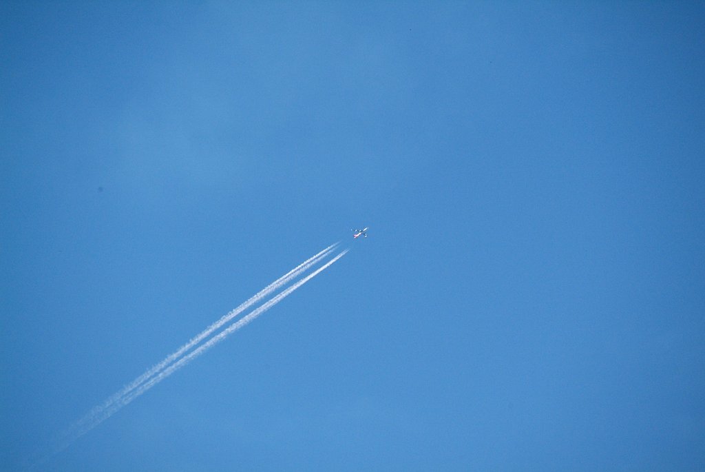 飛行機