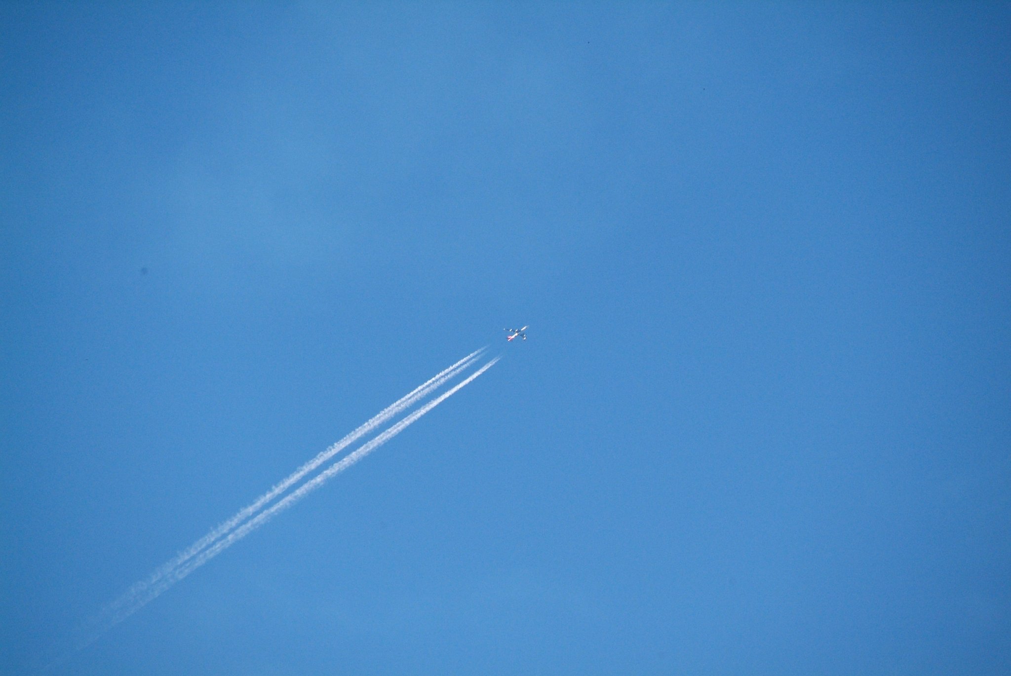 飛行機