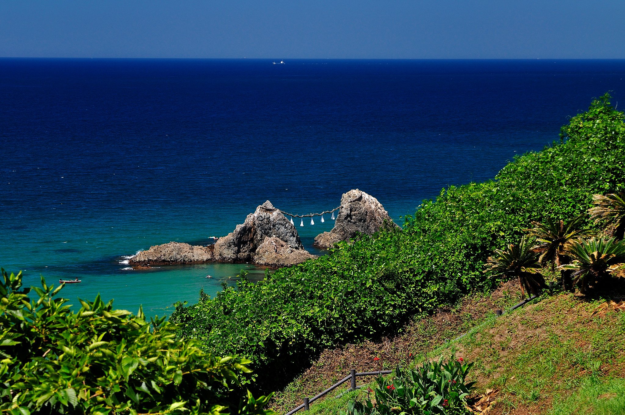 夏の海
