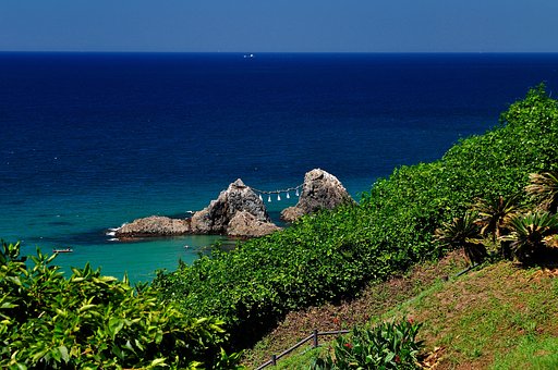 夏の海
