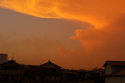 【燃】飛んで火に入る