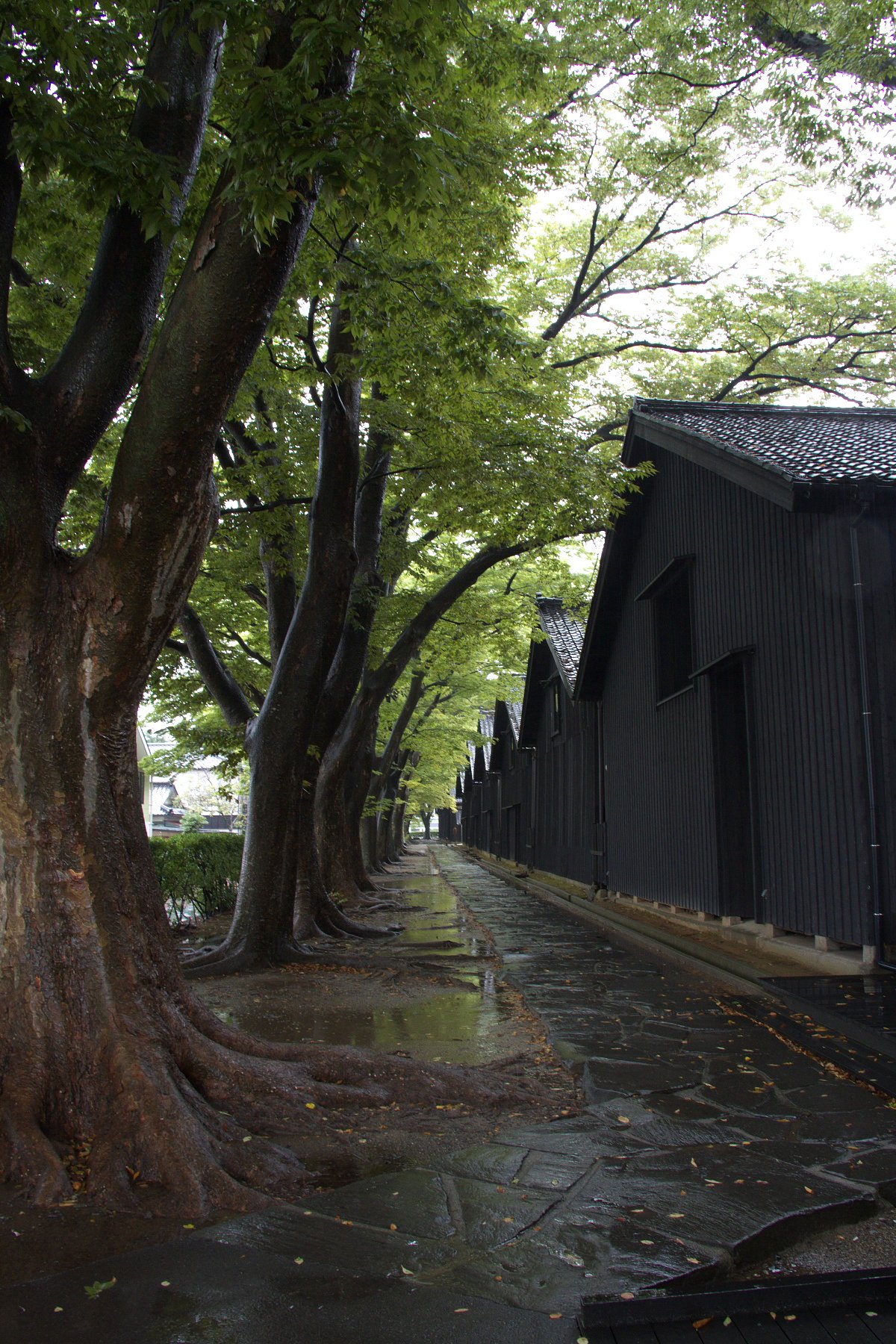 雨の山居倉庫