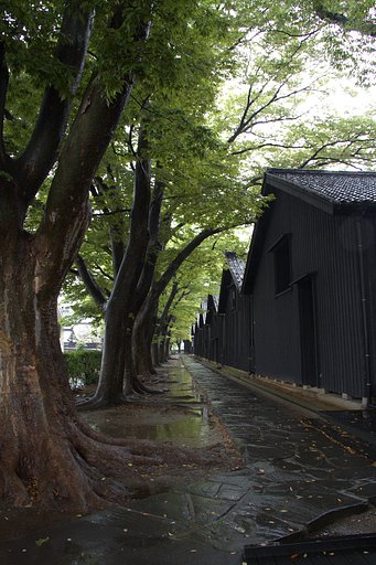 雨の山居倉庫