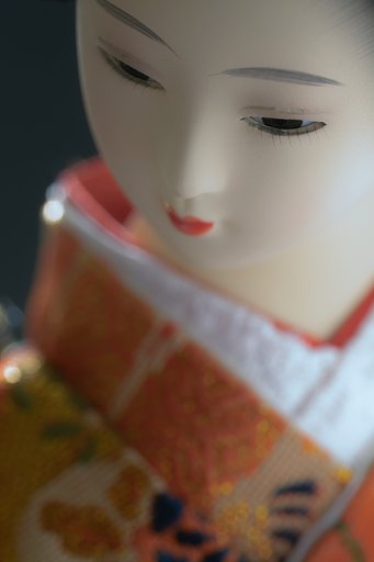 同じ人形です。