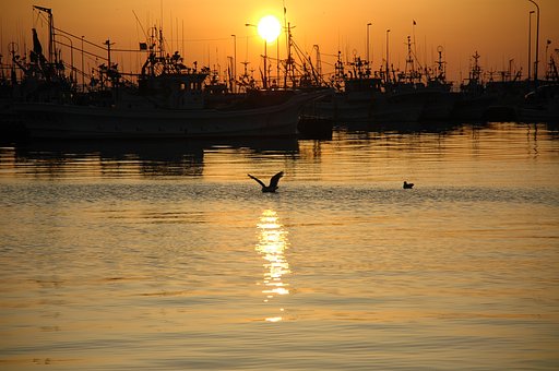 夕焼け