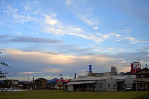 冷えてます