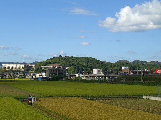 収穫の秋