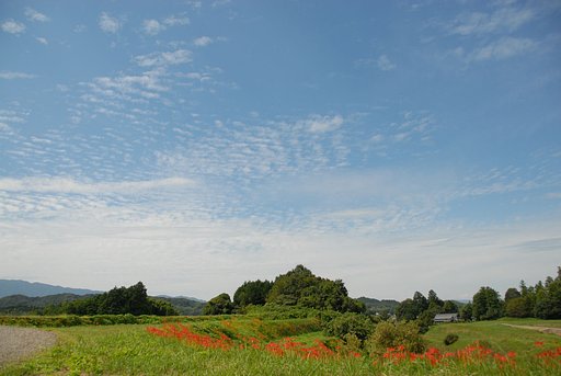 やっと秋の気配