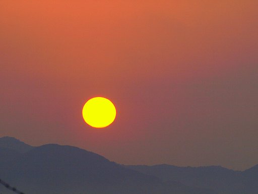 【燃】黄色の太陽