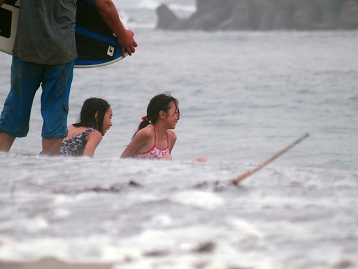 【夏】見る人