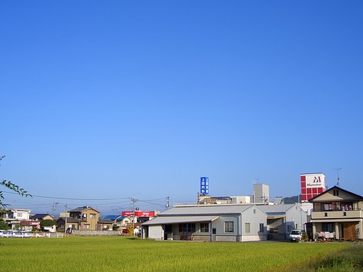 秋に