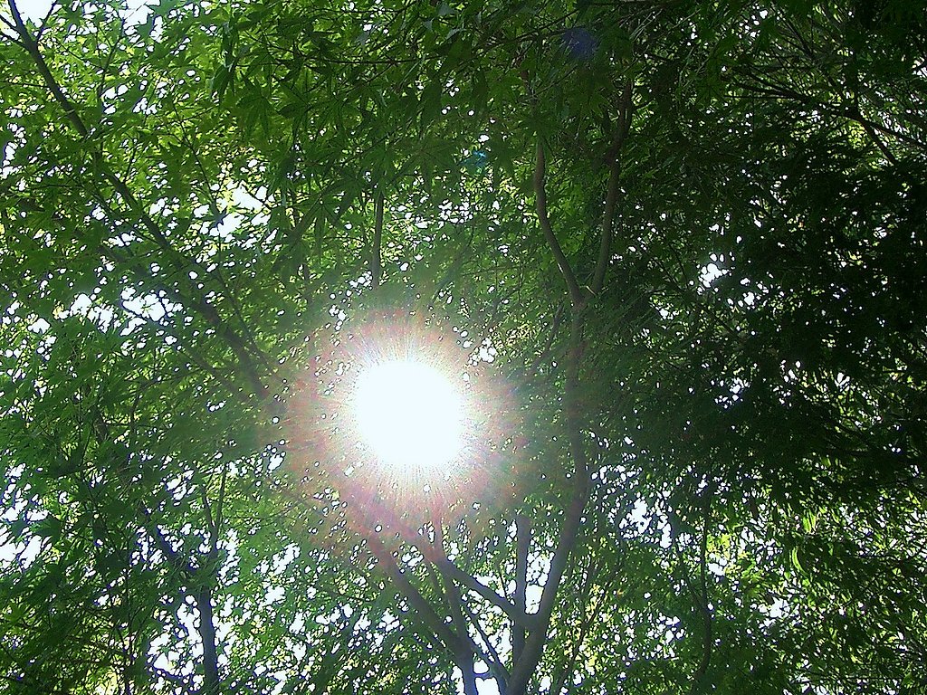 【燃】灼熱太陽