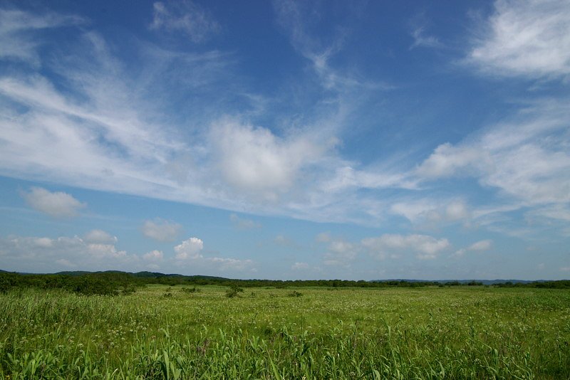 高層湿原の夏空