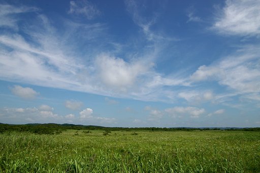 高層湿原の夏空