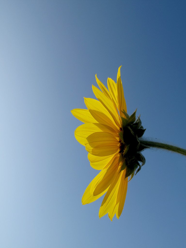 遅い夏