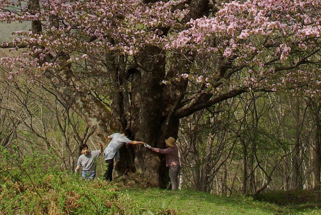 【花のある情景】 ともだち