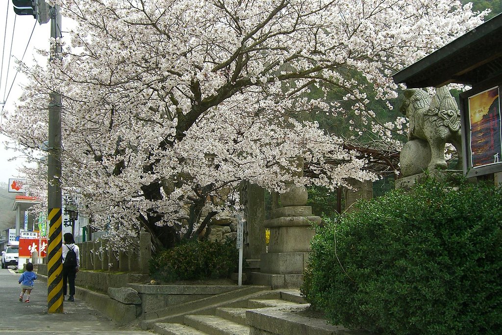 【花のある情景】親子