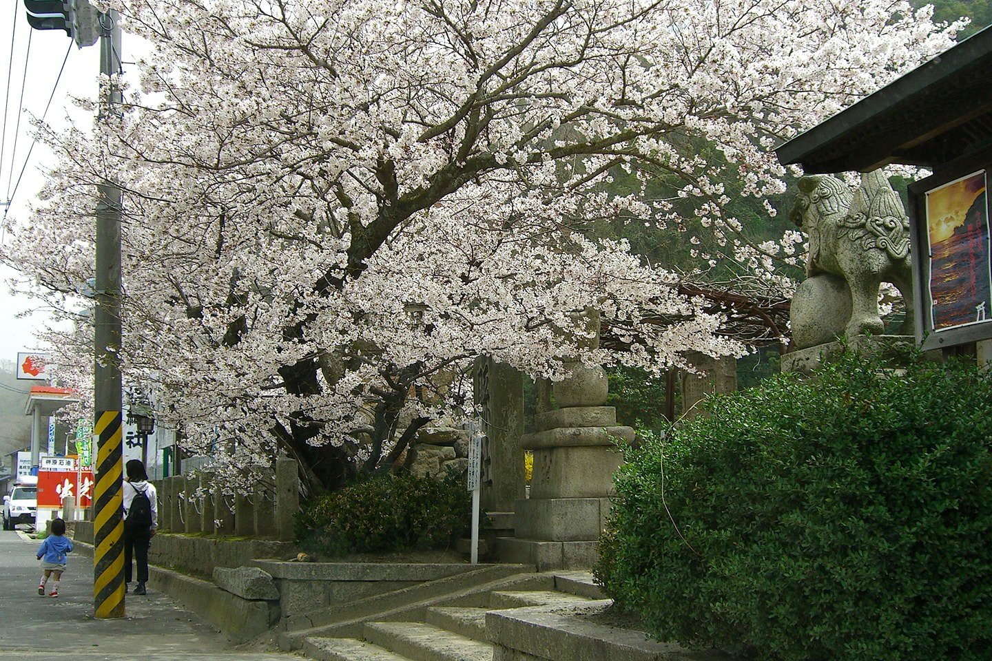 【花のある情景】親子