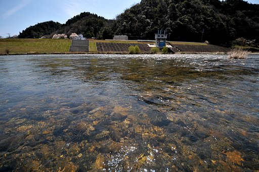 【花のある情景】蘇った清流と桜