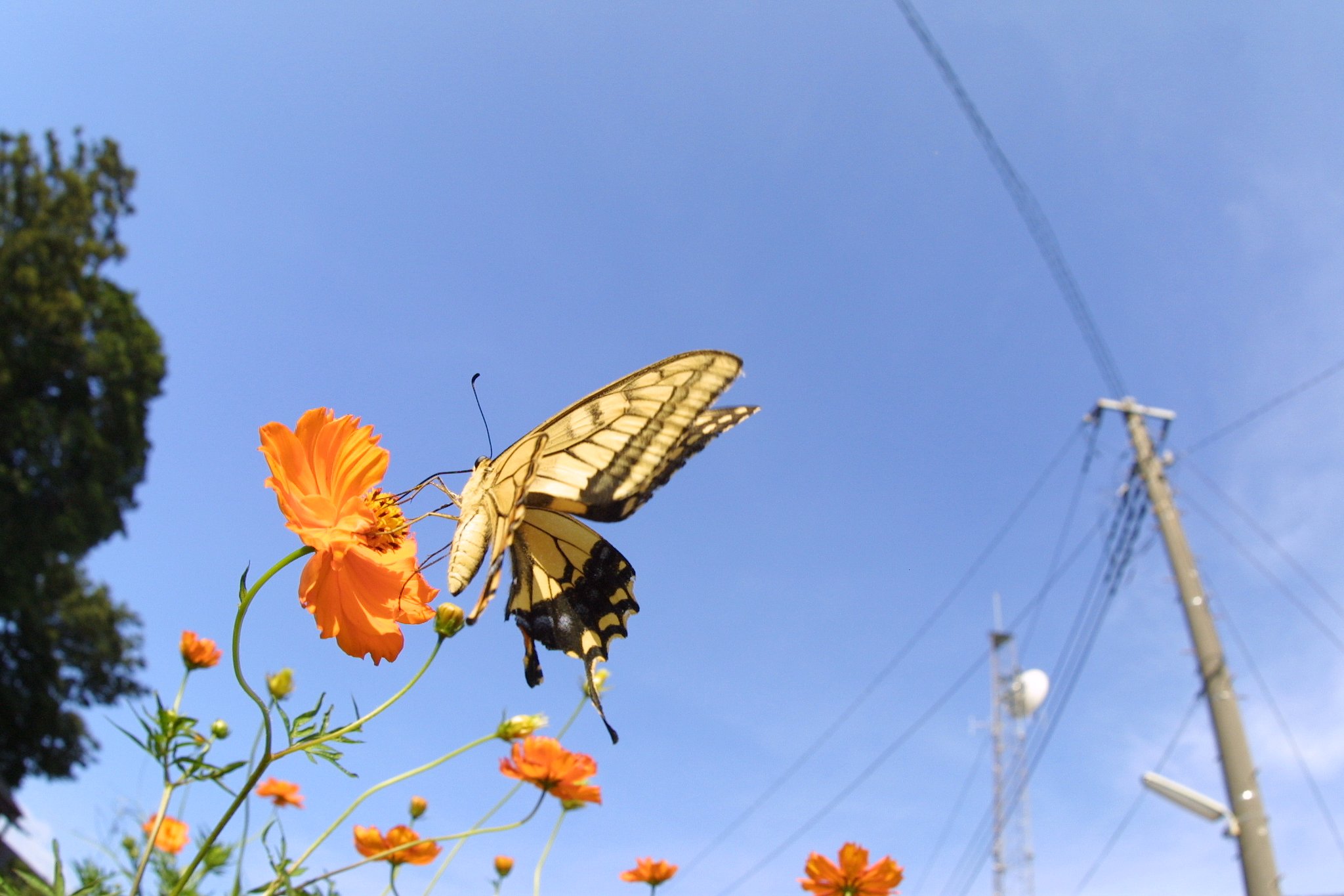 空と・・・