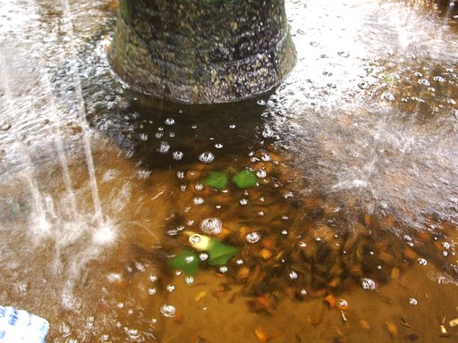 ミニ噴水