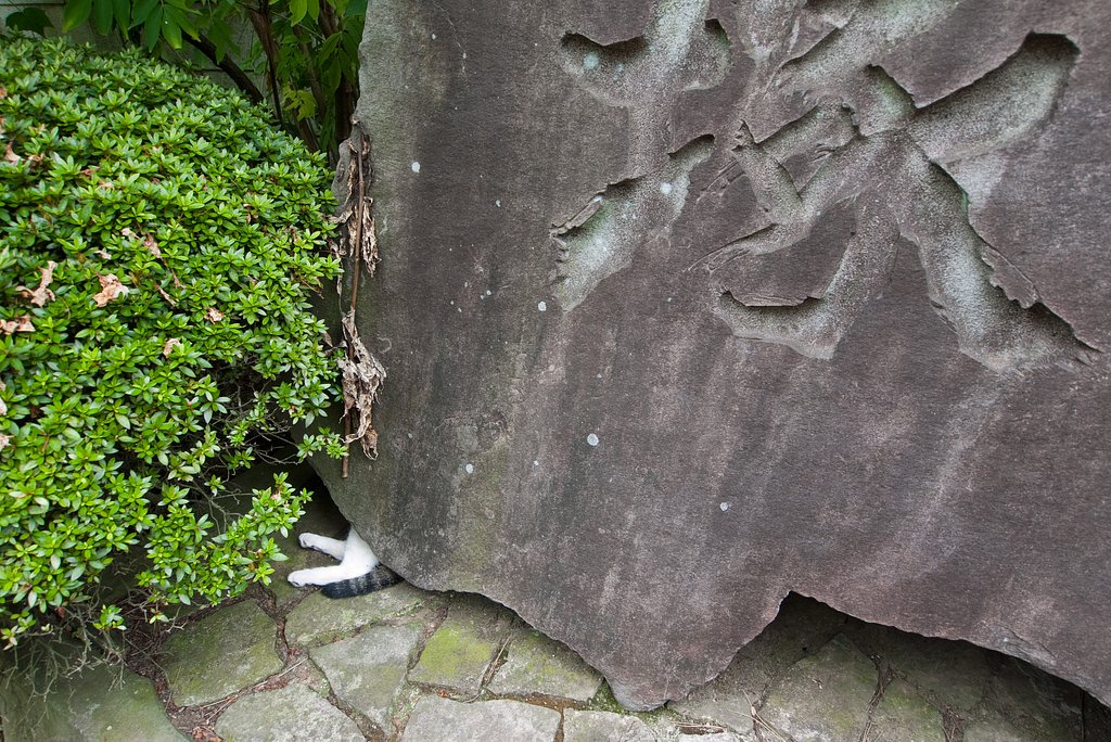 猫塚?