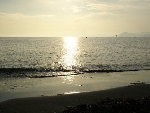 夕日♪