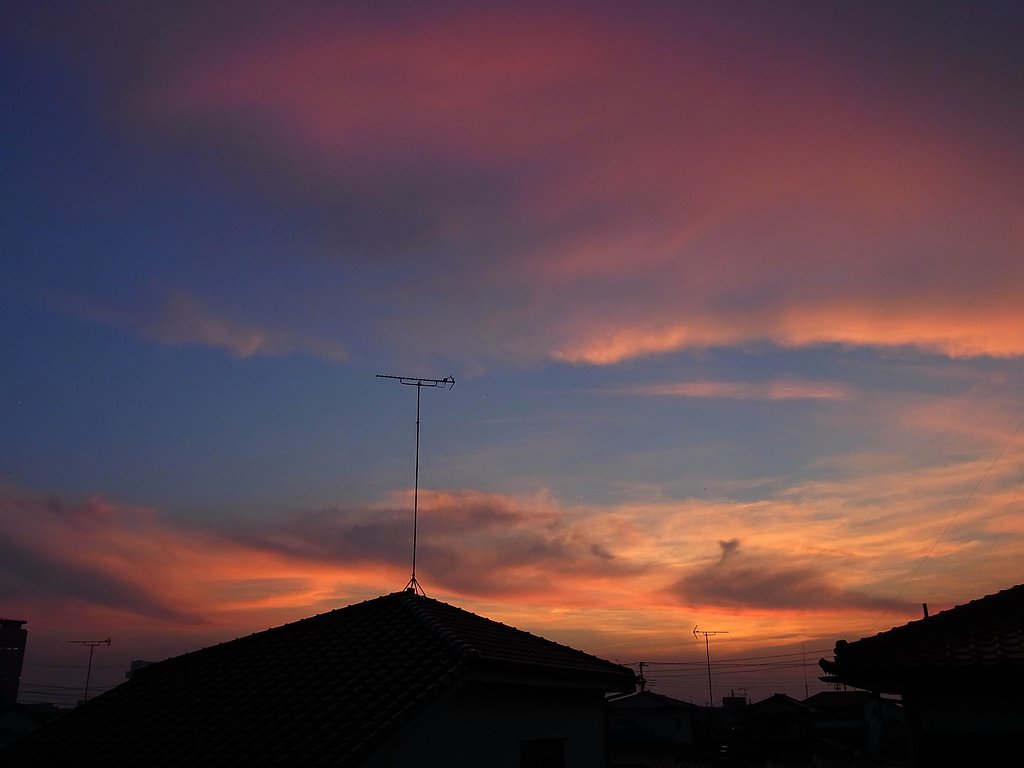 今日の夕景
