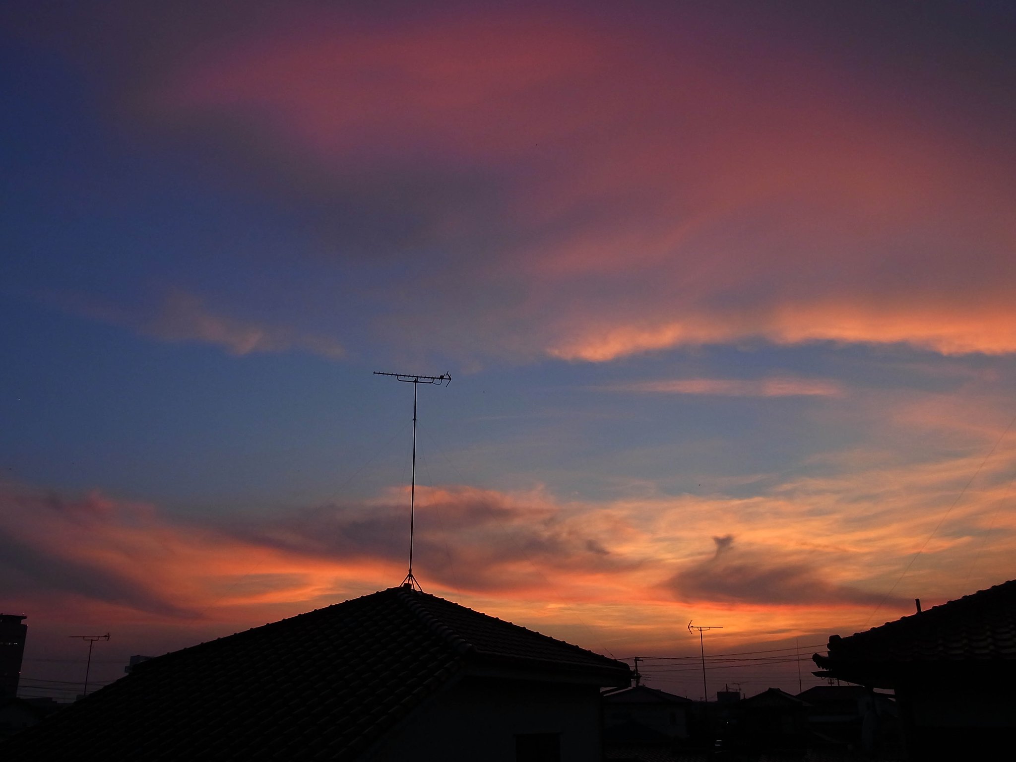 今日の夕景