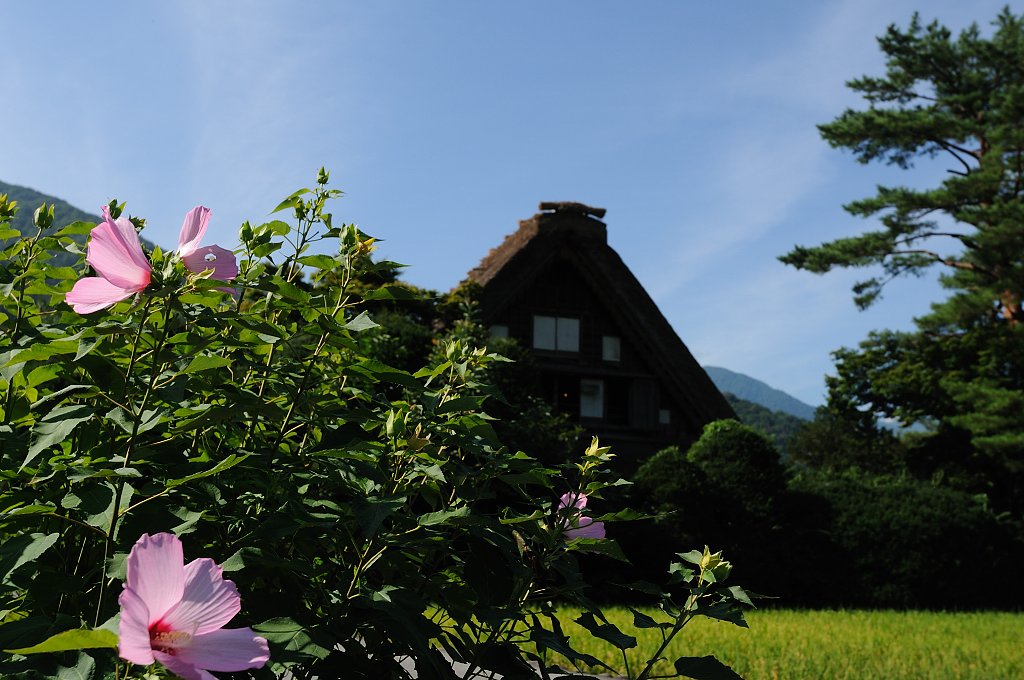 晩夏の白川郷・４