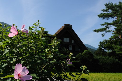 晩夏の白川郷・４