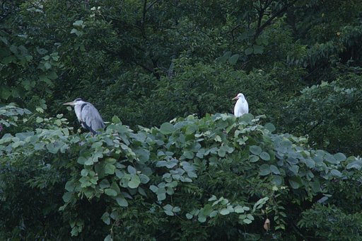 田んぼの横の山すそで