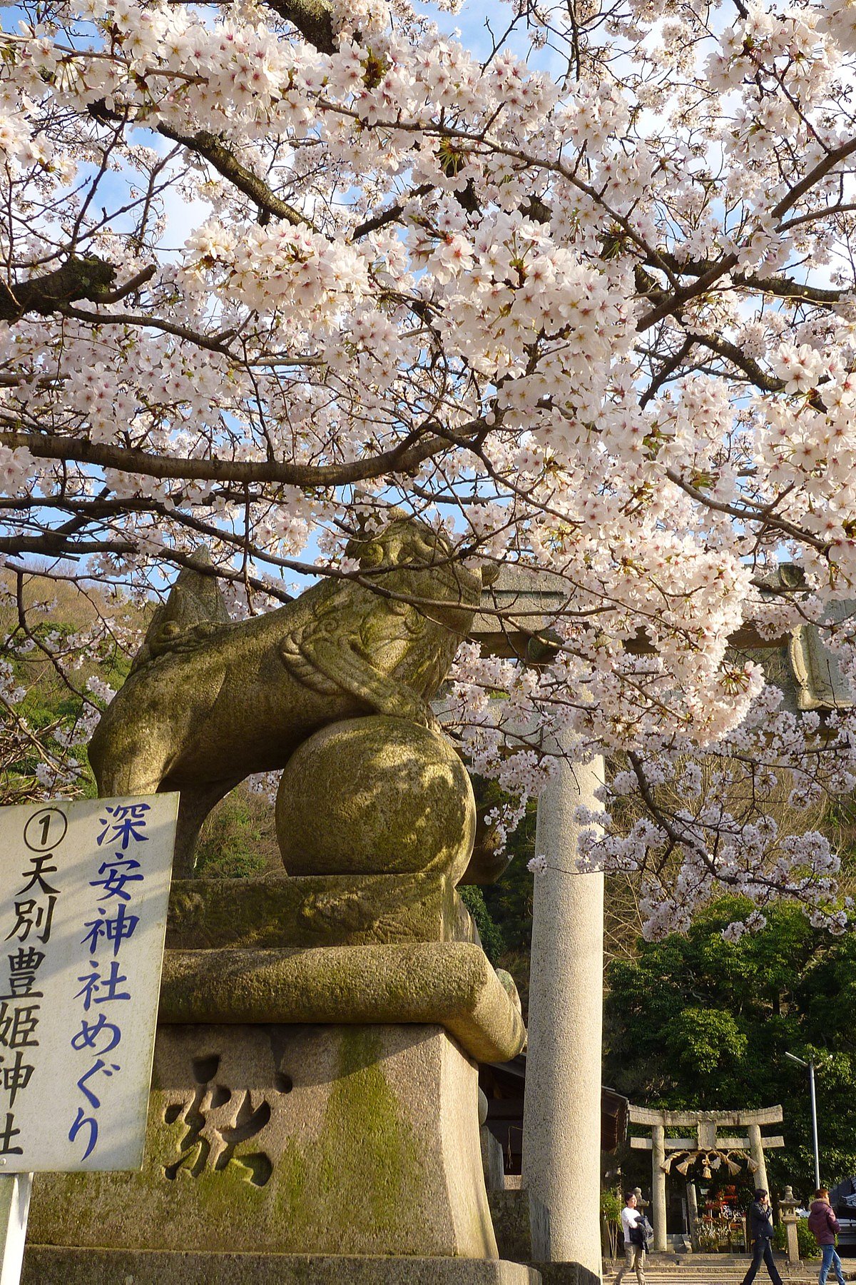 【花のある情景】特等席