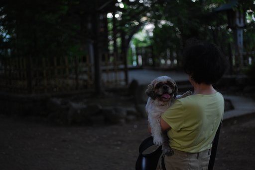 夕暮れの八幡様