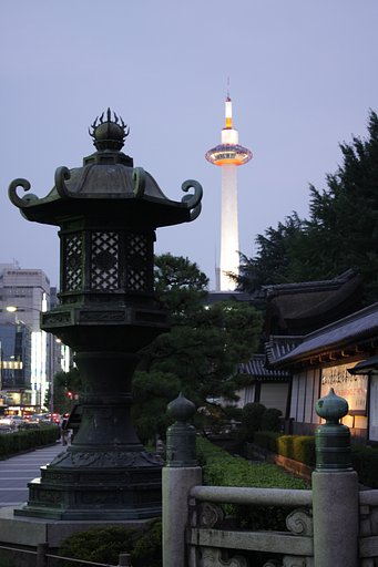 新参者