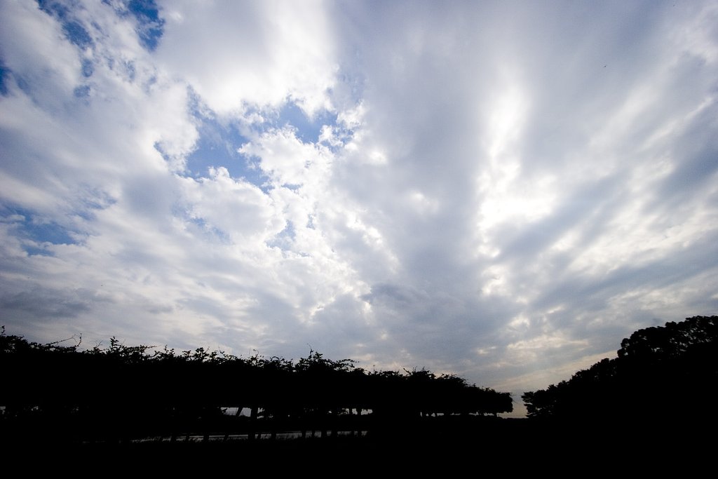 canon EF10mm-22mm