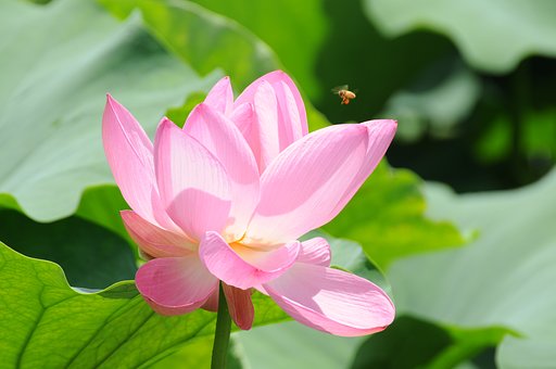 小さなお客さん